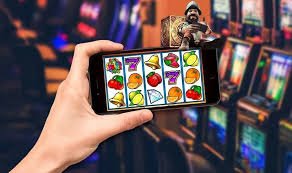 579 bet